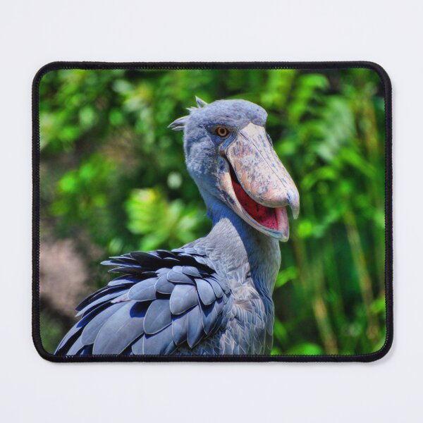 Item preview, Shoebill  designed and sold by Savannah Gibbs.