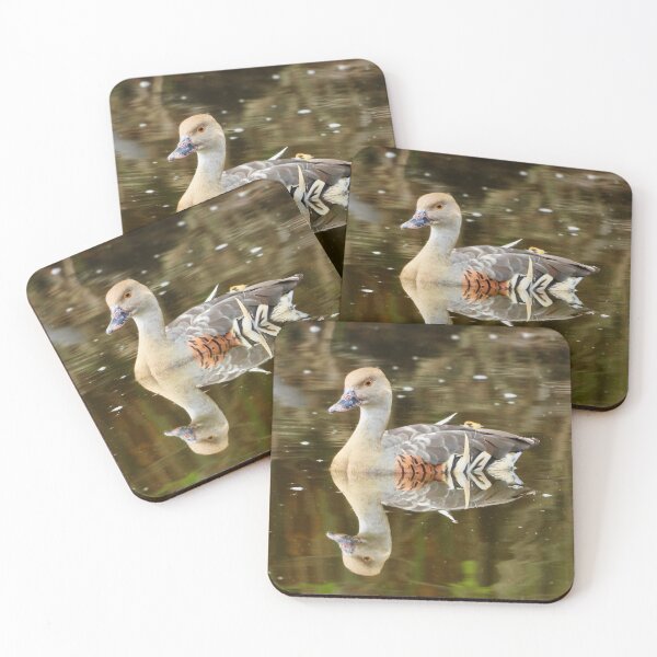 Item preview, Reflections of a duck designed and sold by Mark Grimsley.