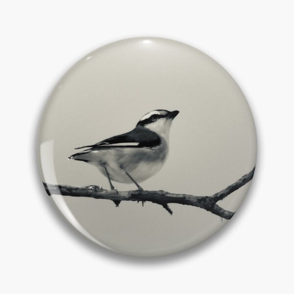 Item preview,  bird  Striated Pardalote black and white designed and sold by Mark Grimsley.