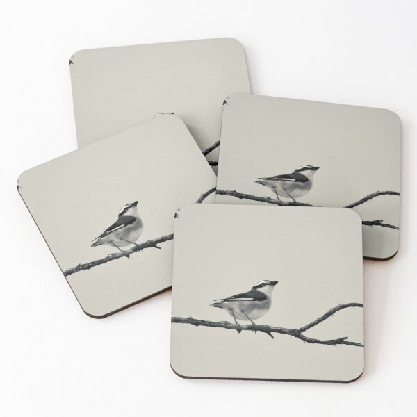 Item preview,  bird  Striated Pardalote black and white designed and sold by Mark Grimsley.