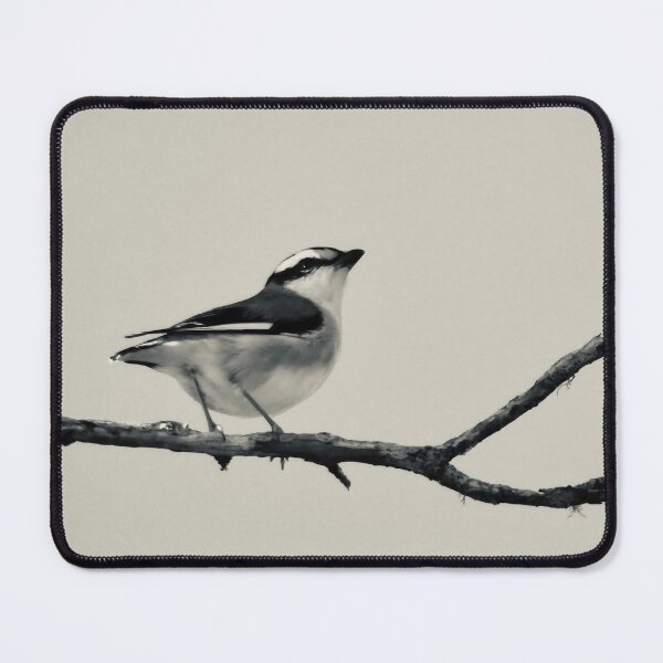 Item preview, bird Striated Pardalote black and white designed and sold by Mark Grimsley.