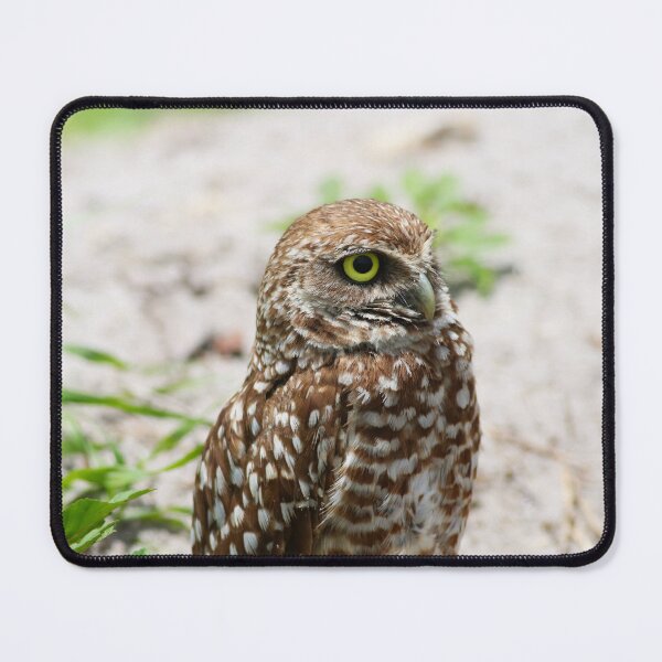 Item preview,  The Reclusive Hero designed and sold by Michiale.