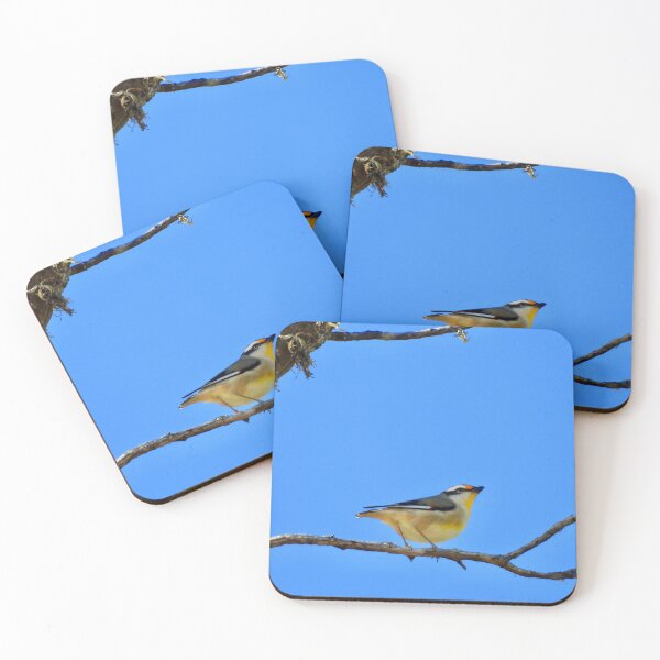 Item preview, bird Striated Pardalote  colour shot  designed and sold by Mark Grimsley.