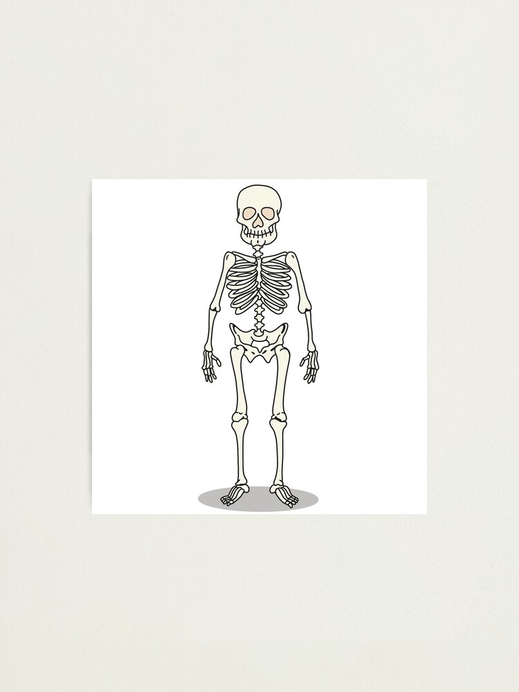 Skeleton Drawing PNG, Vector, PSD, and Clipart With Transparent Background  for Free Download | Pngtree