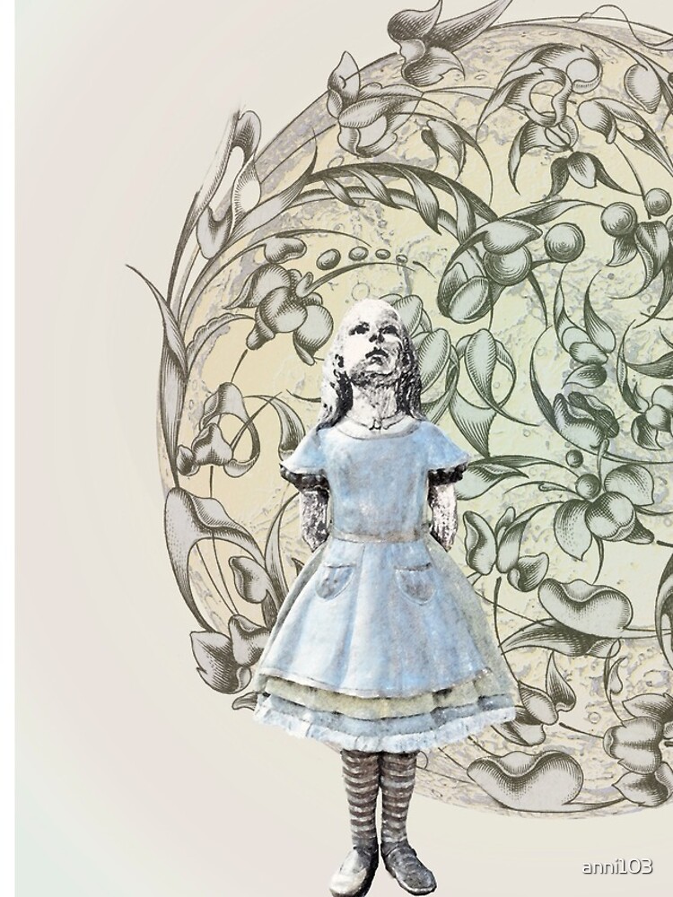 Alice meets White Rabbit on her way to Wonderland by anni103
