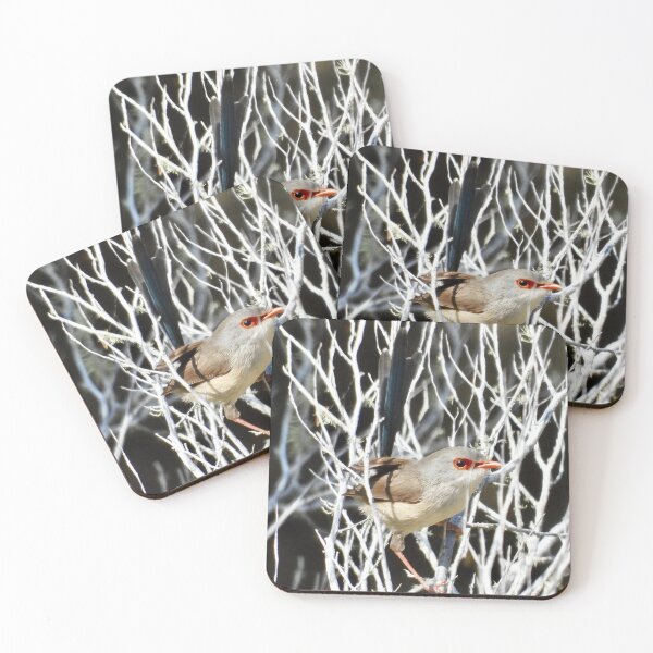 Item preview, Bird Fairy-wren  designed and sold by Mark Grimsley.