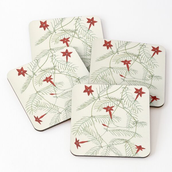Item preview, Cypress Vine designed and sold by jimonym.