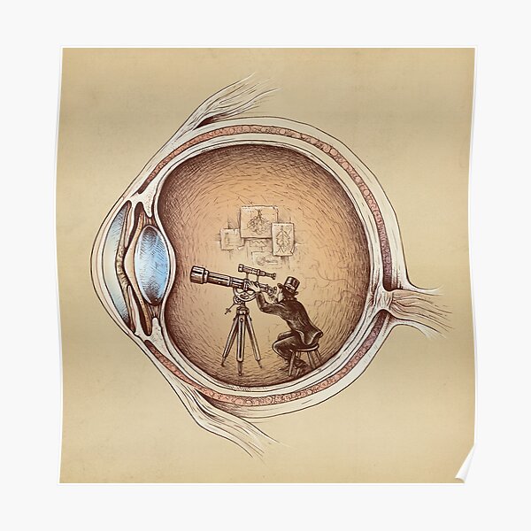 Extraordinary Observer Poster