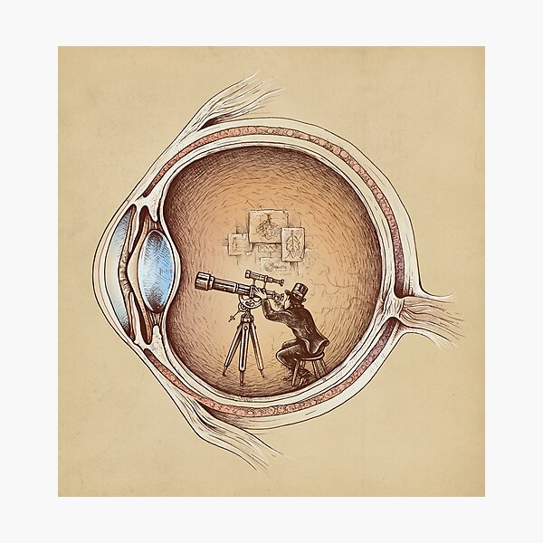 Extraordinary Observer Photographic Print