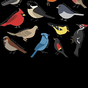Artwork thumbnail, Birds  by Rydennerstill