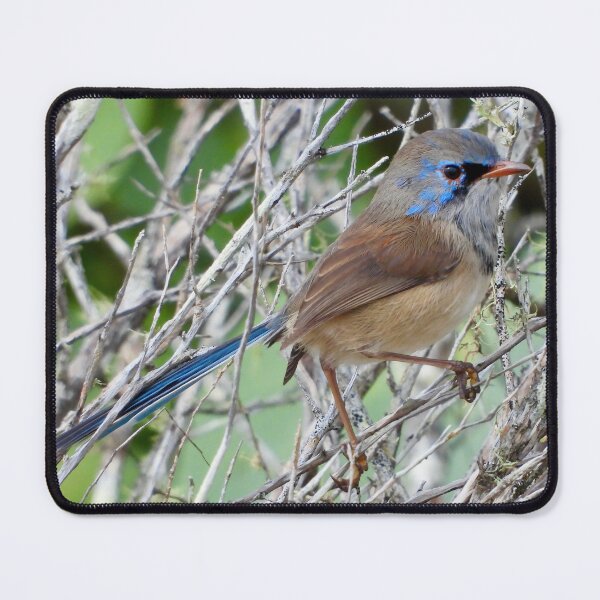 Item preview, Fairy wren mask designed and sold by Mark Grimsley.