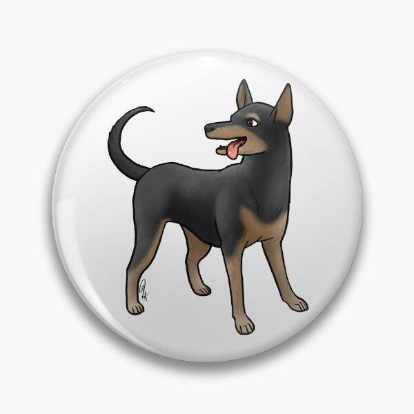 Item preview, Xoloitzcuintli - Coated Black and Tan designed and sold by Jennifer Stolzer.