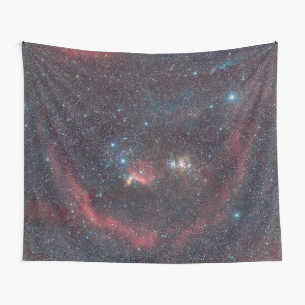 The Orion Molecular Cloud Complex Tapestry