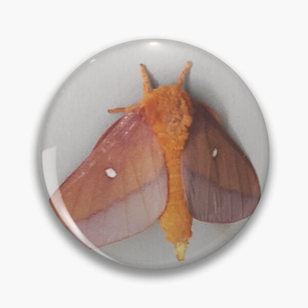 Item preview, The pink fluffy moth designed and sold by Chisai Tori.