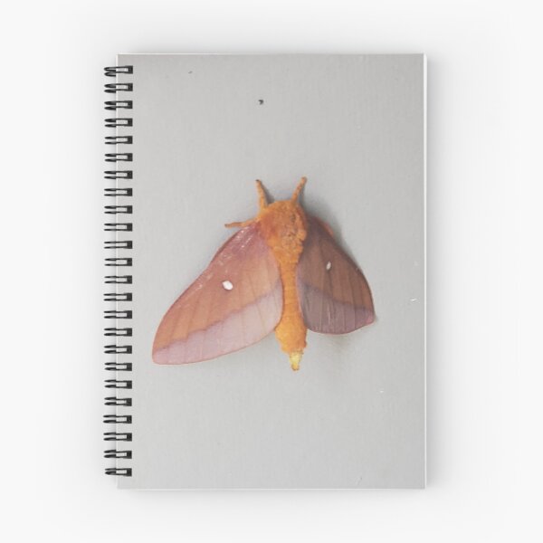 Item preview, The pink fluffy moth designed and sold by Chisai Tori.