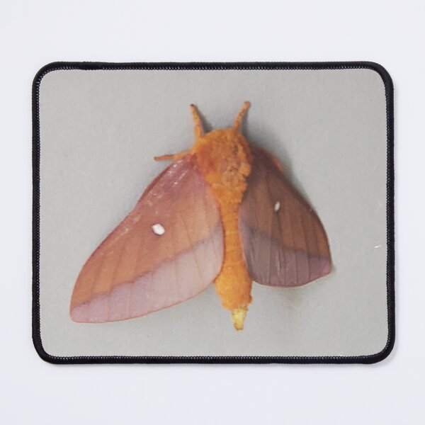 Item preview, The pink fluffy moth designed and sold by Chisai Tori.