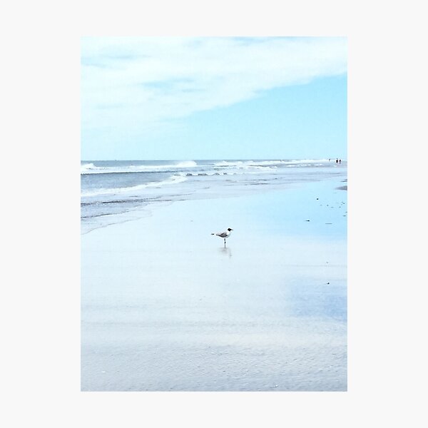 Item preview, Bird on the Beach designed and sold by OneWildDragon.