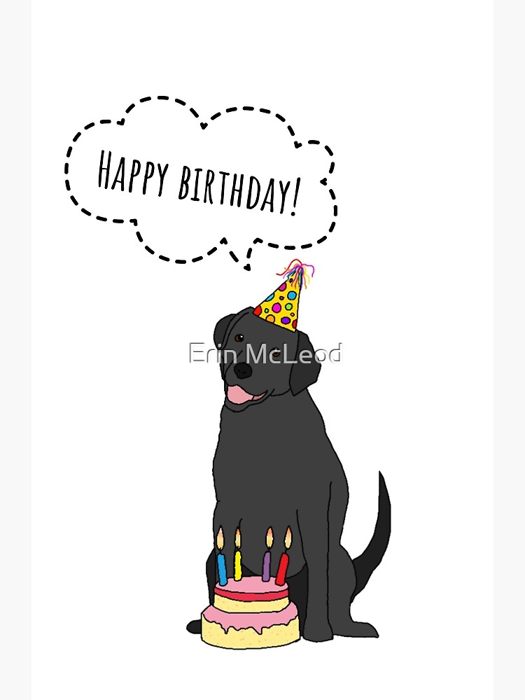 black labrador birthday