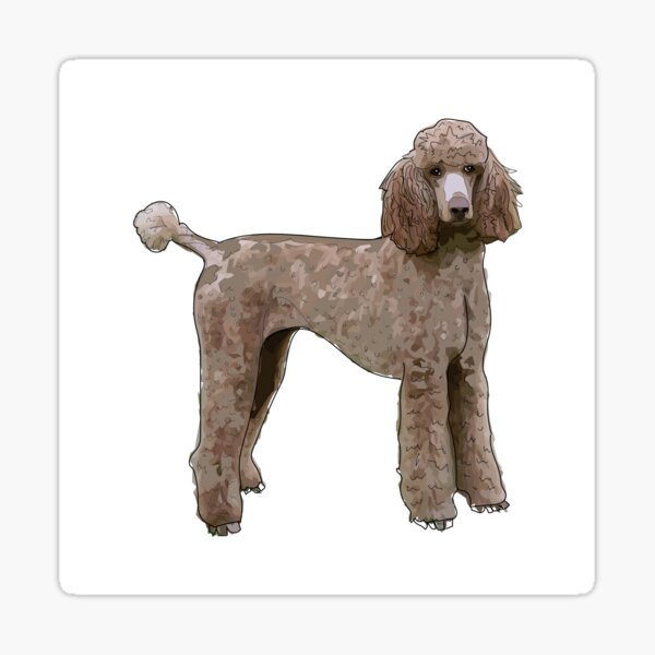 Standard Poodle Dog Sticker