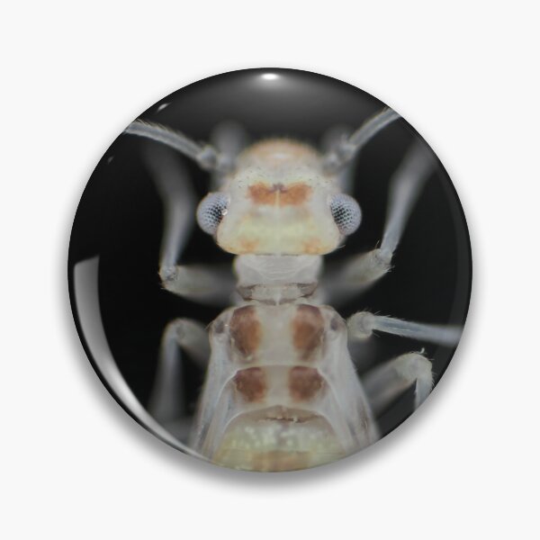 Item preview, Barklouse (Psocidae)under the microscope designed and sold by SDym Photography.