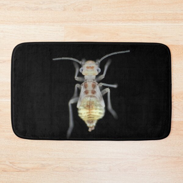 Item preview, Barklouse (Psocidae)under the microscope designed and sold by SDym Photography.