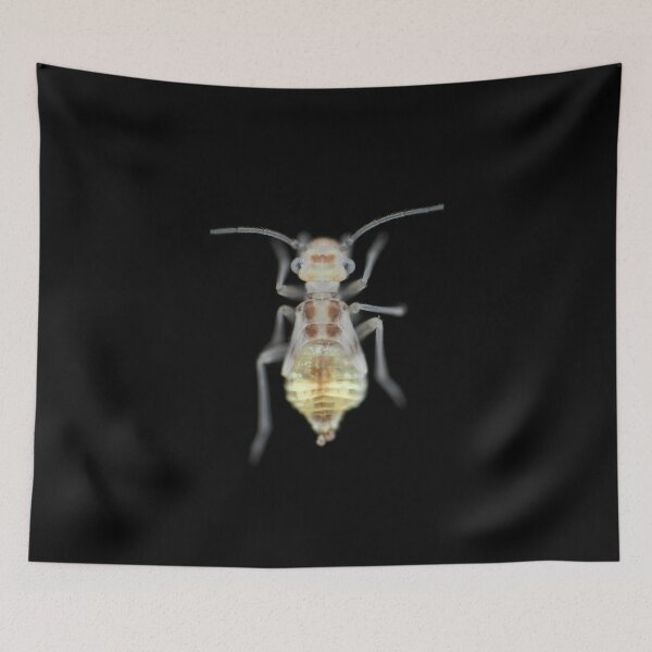 Item preview, Barklouse (Psocidae)under the microscope designed and sold by SDym Photography.