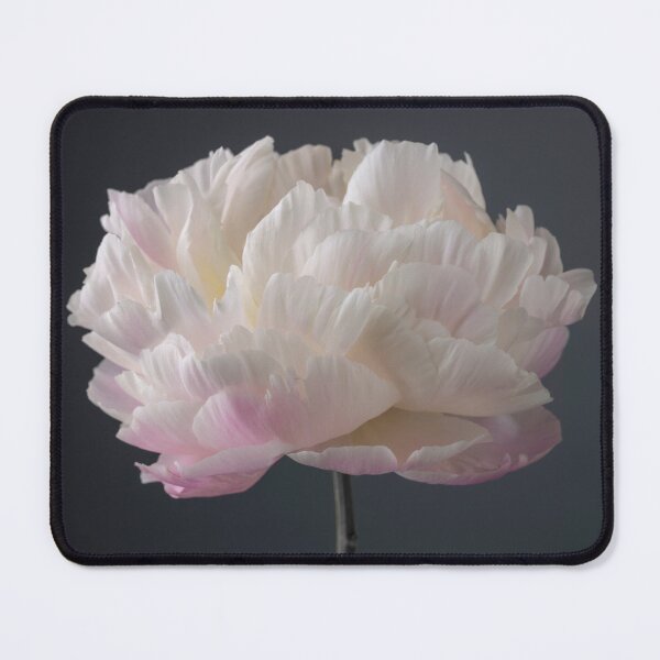 Item preview, Peony Flower designed and sold by assaf.