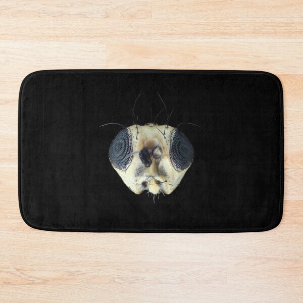 Item preview, Tiny leafminer fly head under the microscope designed and sold by SDym Photography.