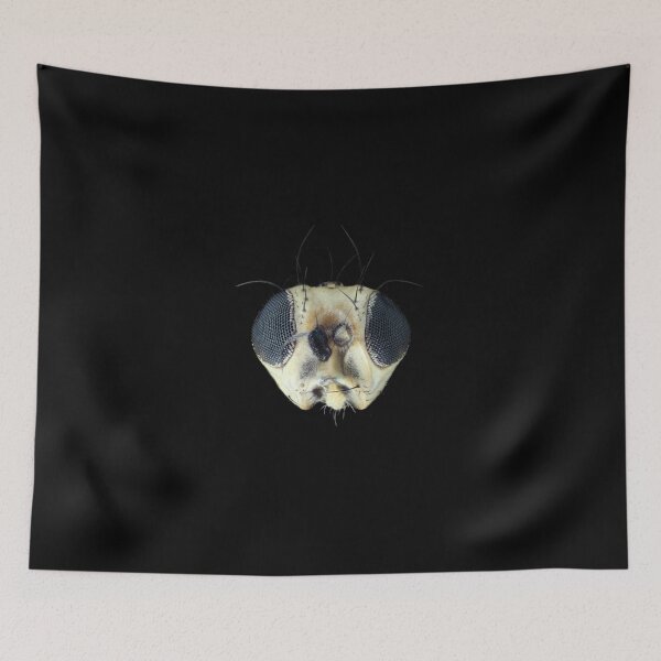 Item preview, Tiny leafminer fly head under the microscope designed and sold by SDym Photography.