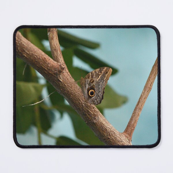 Item preview, Owl Butterfly designed and sold by RedRoseSkull.