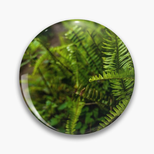 Item preview, Cao Bang Jungle Path designed and sold by natejordanphoto.