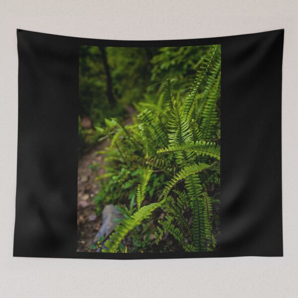 Item preview, Cao Bang Jungle Path designed and sold by natejordanphoto.