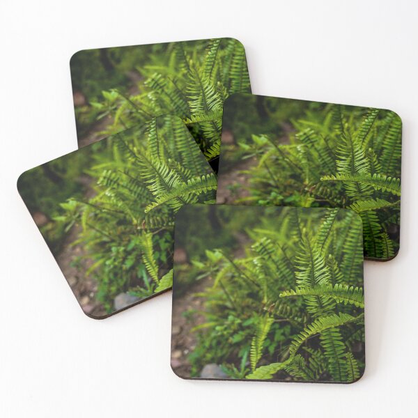 Item preview, Cao Bang Jungle Path designed and sold by natejordanphoto.