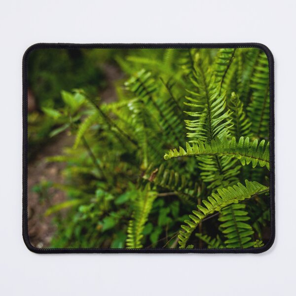 Item preview, Cao Bang Jungle Path designed and sold by natejordanphoto.