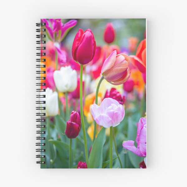 Item preview, Vibrant Tulips of Keukenhof designed and sold by assaf.
