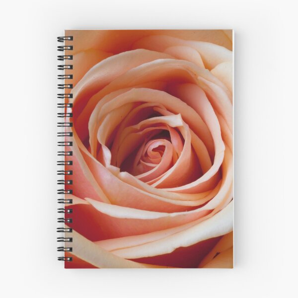 Item preview, Pink Rose #2 designed and sold by VanOostrum.