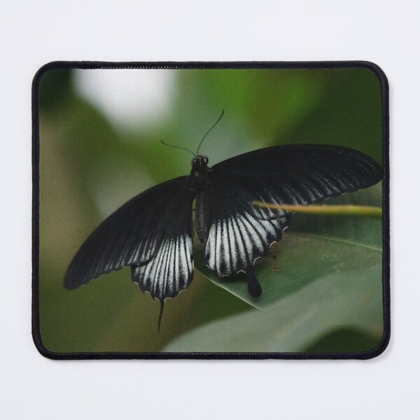 Item preview, Papilio memnon designed and sold by RedRoseSkull.