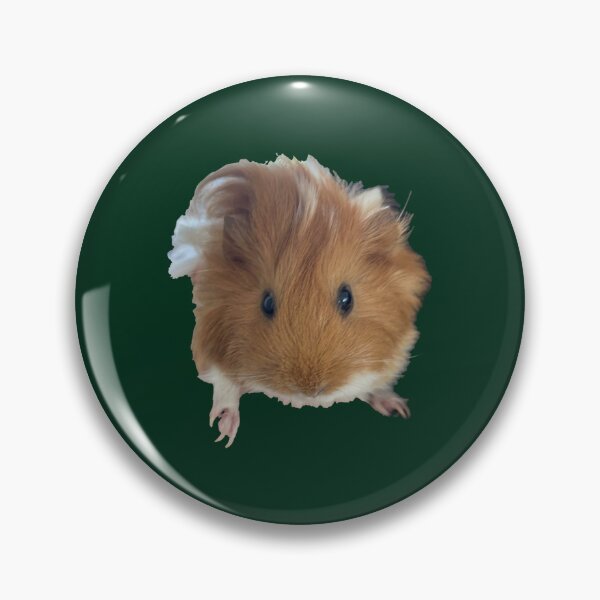 Item preview, eeVee the guinea pig designed and sold by caradocorbornes.