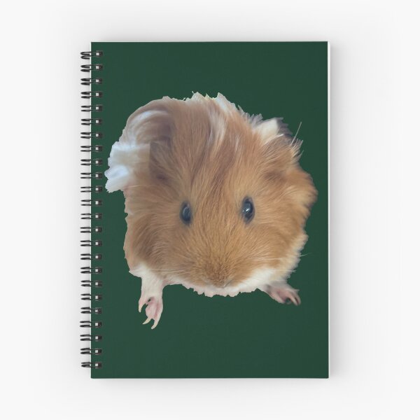 Item preview, eeVee the guinea pig designed and sold by caradocorbornes.