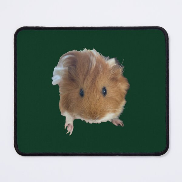 Item preview, eeVee the guinea pig designed and sold by caradocorbornes.