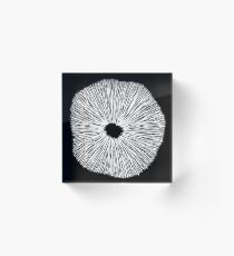 Pilz Sporenabdruck Acrylblock