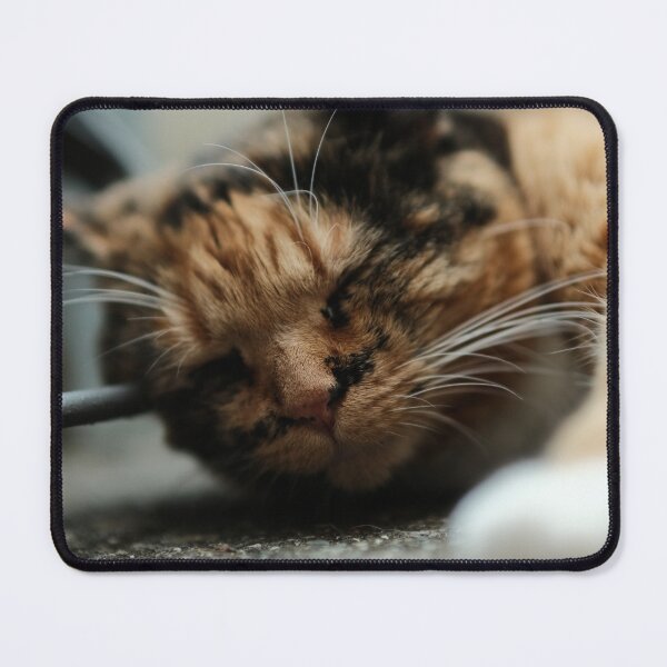 Item preview, Iris designed and sold by Excelsior--.