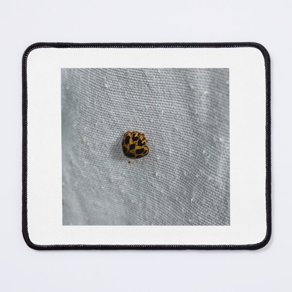 Item preview, Ladybird designed and sold by WeepingLight.