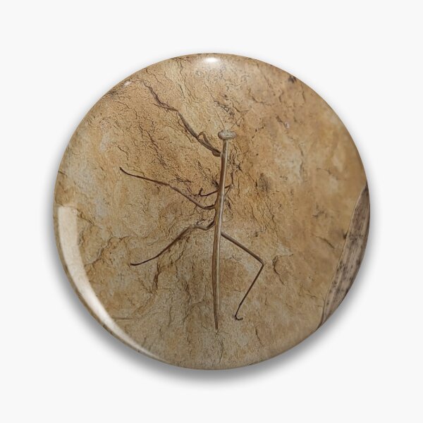 Item preview, Stick insect designed and sold by WeepingLight.