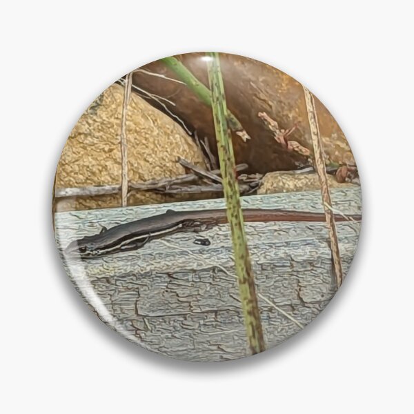 Artikelvorschau, Skink entworfen und verkauft von WeepingLight.