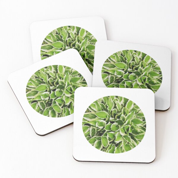 Item preview, Hosta plant/perennial/garden/nature designed and sold by VeenaNair23.