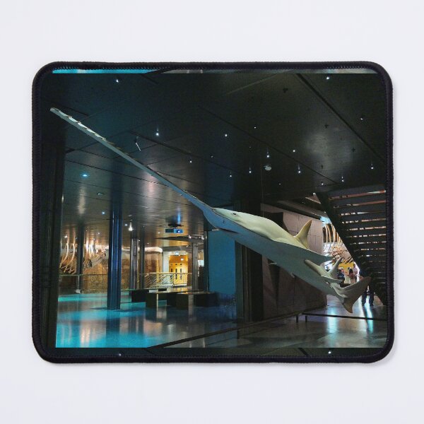 Item preview, vr 3347 / finition 2023 - 2 - " Jardin des Plantes Paris " La Grande évolution " Poissons-scies - Okaio Créations Olavia-Olao designed and sold by o.okaïo.