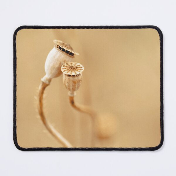 Item preview, Small poppy capsule designed and sold by Beabue.