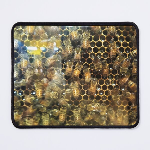 Item preview, Buzzy Hive designed and sold by craftsbydaphy.