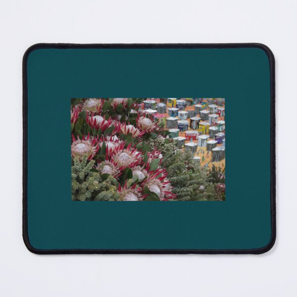 Item preview, Cape Town, South Africa - protea flowers and Cape houses Long designed and sold by Malfoxvikna.